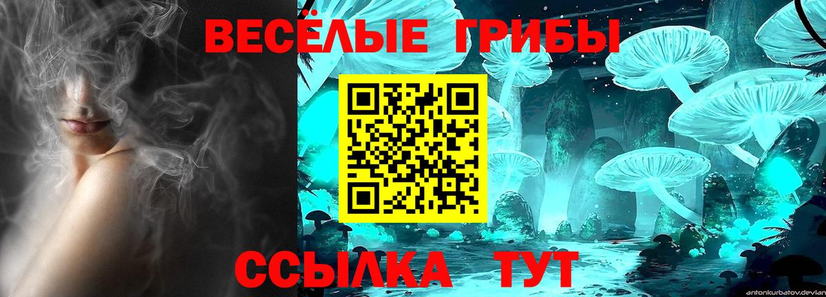 Галлюциногенные грибы MAGIC MUSHROOMS Сальск